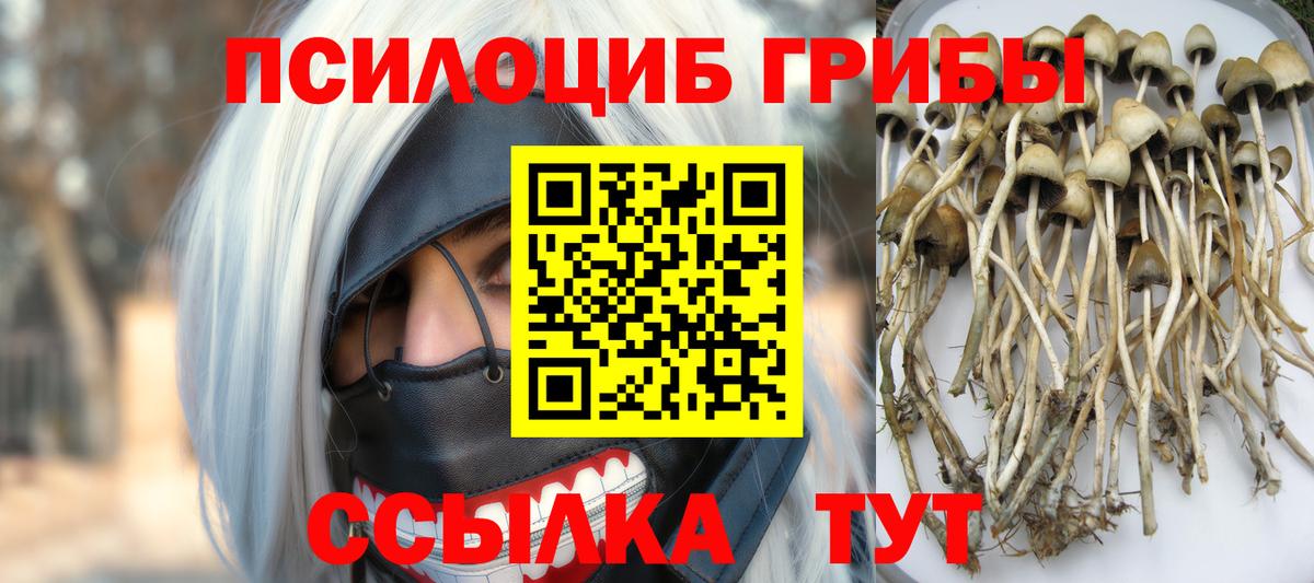 Галлюциногенные грибы мицелий Кашира
