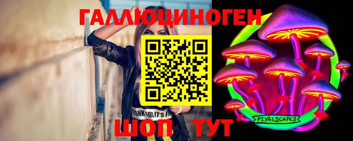 Псилоцибиновые грибы Psilocybe  Вход с VPN  Псилоцибиновые грибы Cubensis  Кашира 