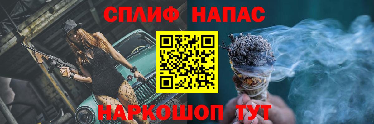 Конопля сатива Кашира